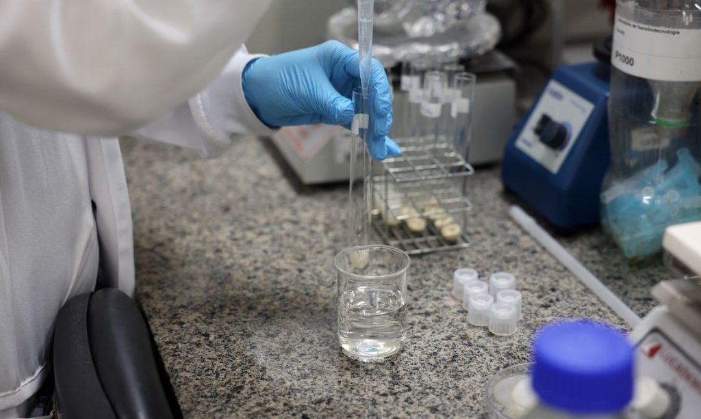 Brasil define diretrizes para ciência e inovação com foco na próxima década