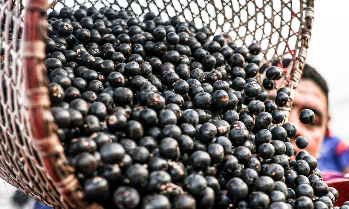 China abre mercado para polpas e frutas congeladas brasileiras