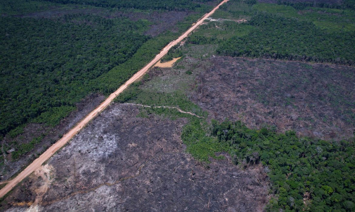Queda no desmatamento da Amazônia desafia justificativa para tarifas dos EUA