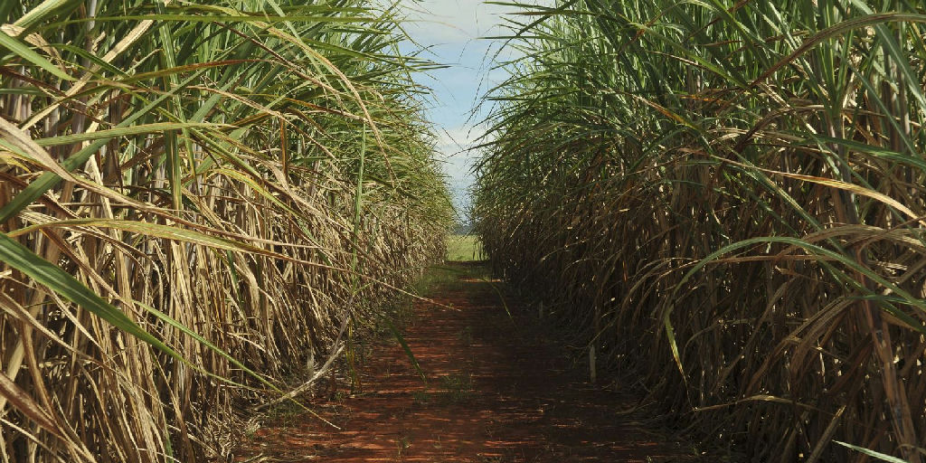 Eco Invest Brasil tem limite de remuneração ampliado pelo CMN