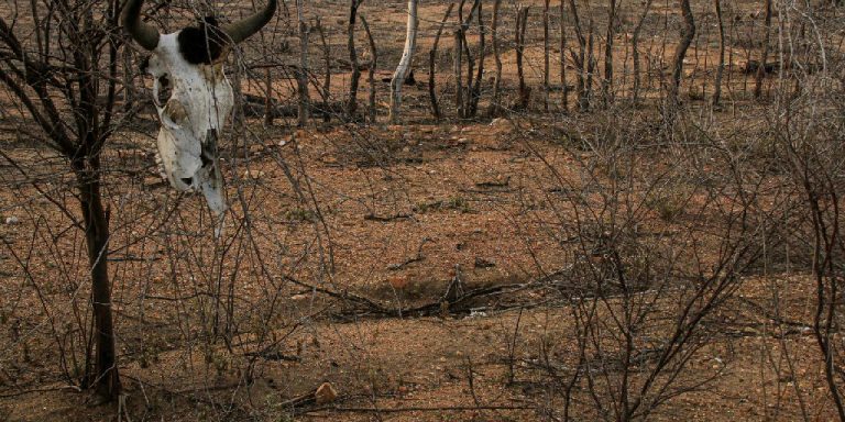 Estiagem leva sete municípios do Nordeste a decretarem situação de emergência