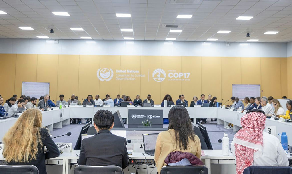 Impasses globais na COP17 adiam novamente metas de combate às secas
