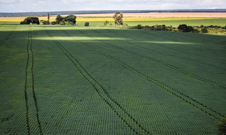 Senado aprova Profert para impulsionar produção nacional de fertilizantes