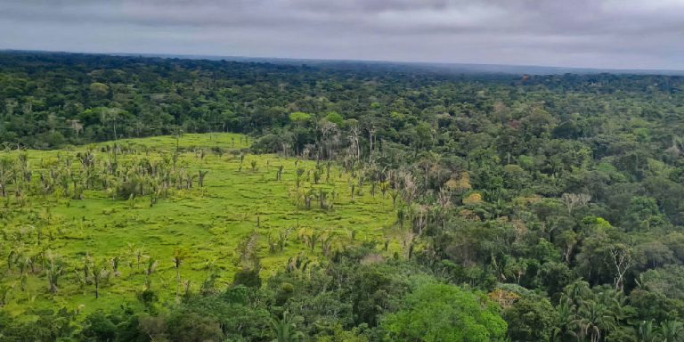 Sessenta por cento das terras indígenas da Amazônia não tiveram desmatamento entre 2025 e 2026
