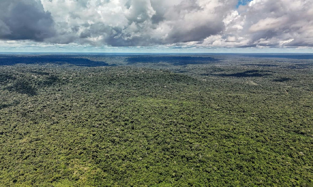 Amazônia sob risco: a falha na maior máquina de chuva do mundo