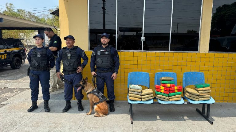 Cadela farejadora da Guarda Municipal localiza 30 quilos de drogas em Manaus