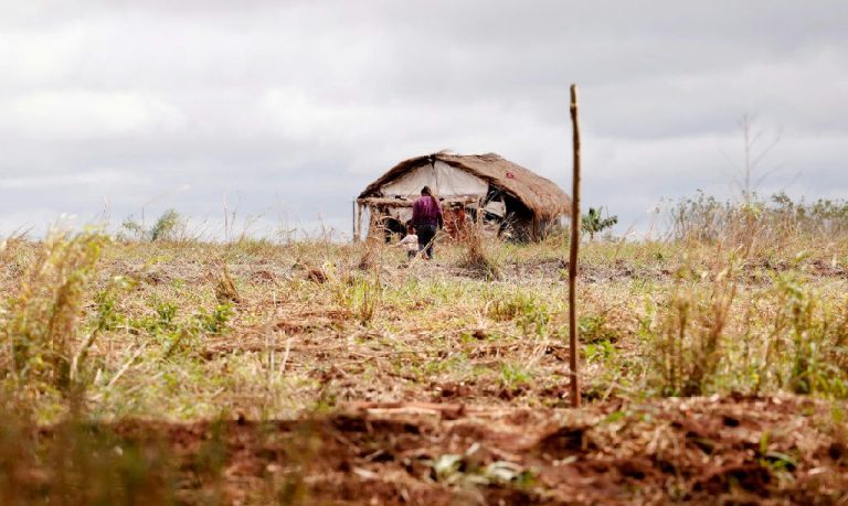 Conflitos agrários crescem no Brasil enquanto assassinatos no campo registram queda