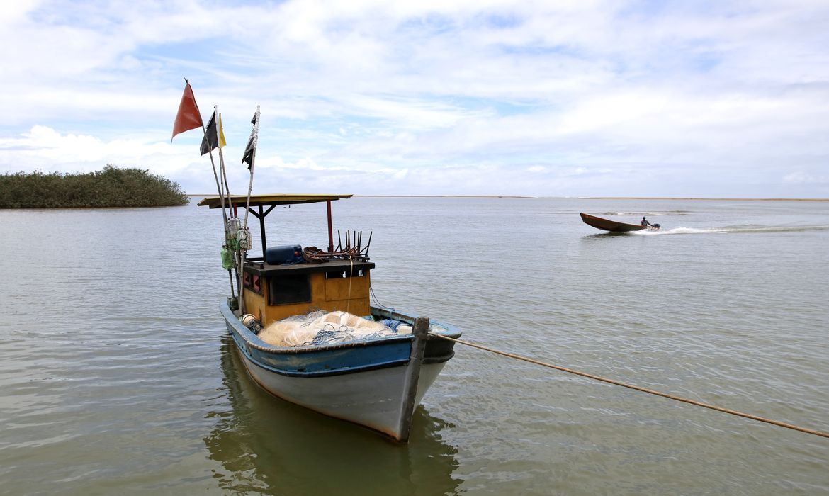 Anvisa autoriza retomada da pesca na foz do Rio Doce após uma década do desastre de Mariana