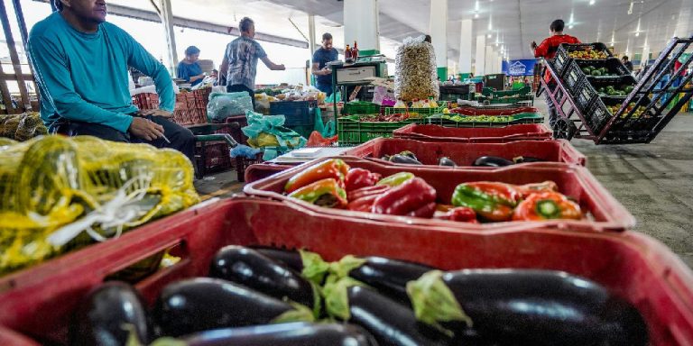Campanha nacional mobiliza sociedade para combater o desperdício de alimentos